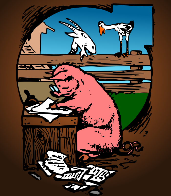 Scribe Pig colour