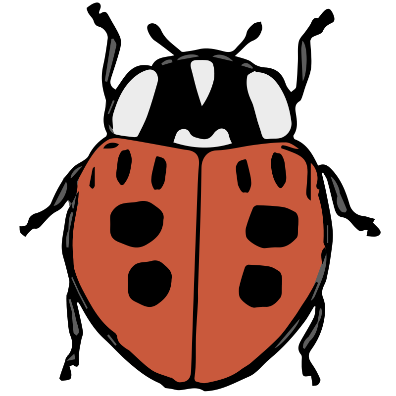 Lady Beetle - Colour Remix