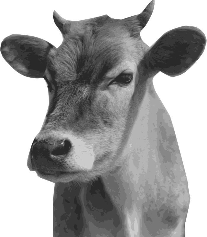 cow head png