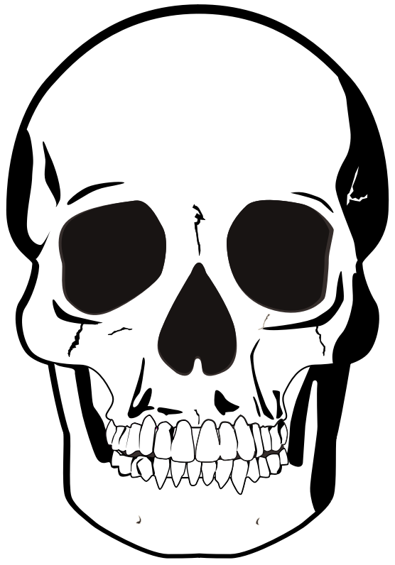 white skull png