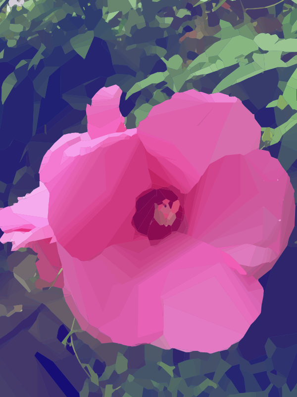 Pink Flower