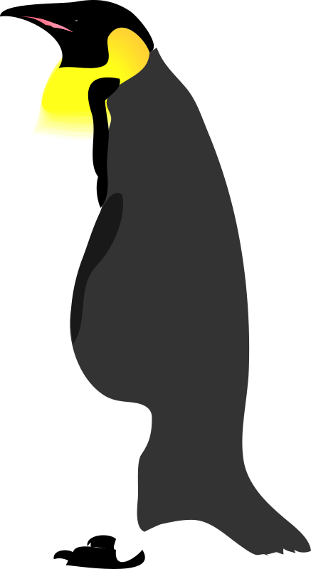 Architetto -- pinguino 2