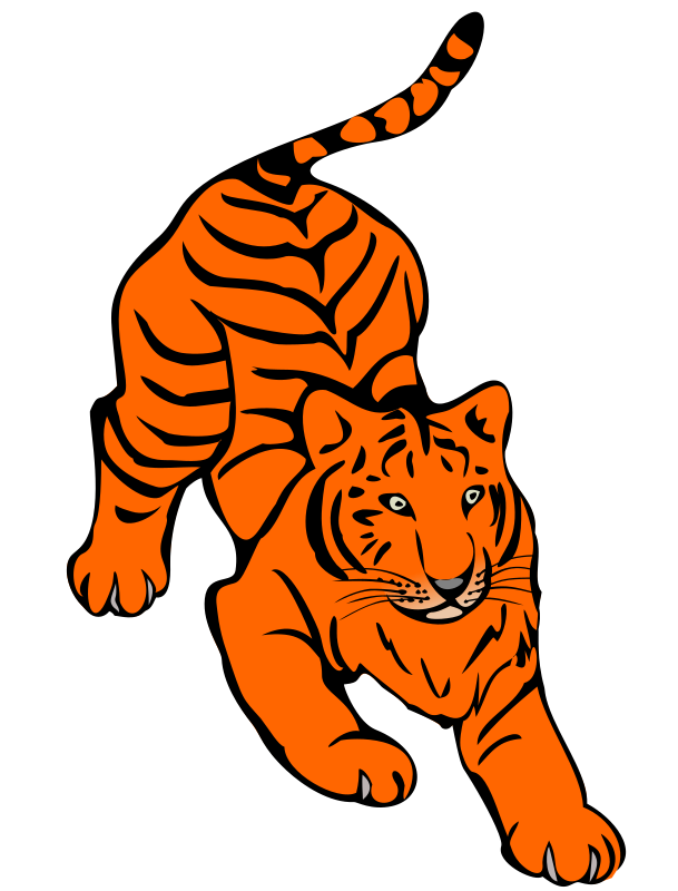 Orange Tiger