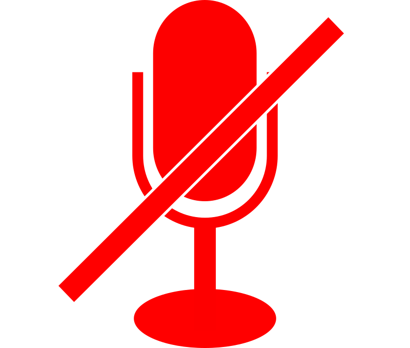 mic icon