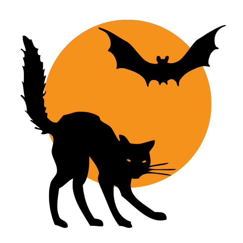 Bat and a Cat