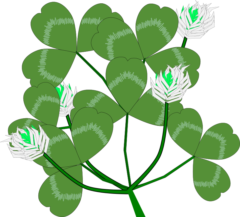 White Clover