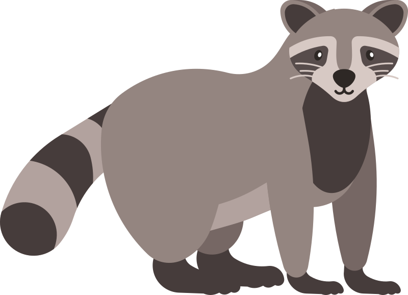 Raccoon