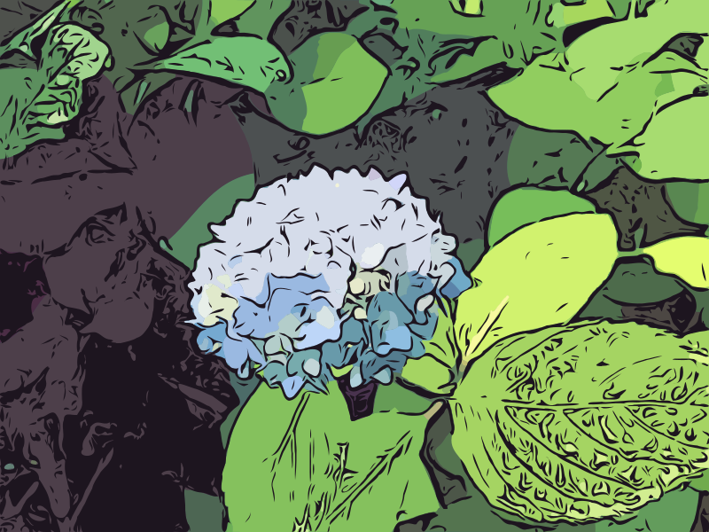 Abstract Hydrangeas