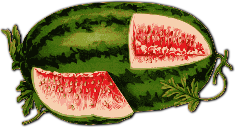 Sliced Open Watermelon