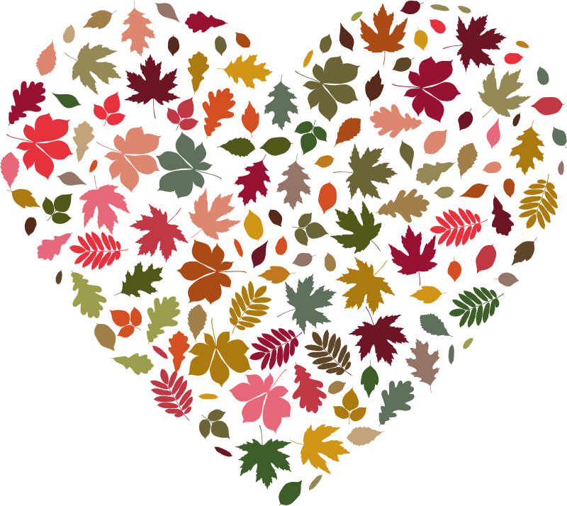 Autumn Leaves Heart Fall Colors