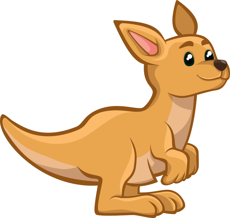 kangaroo