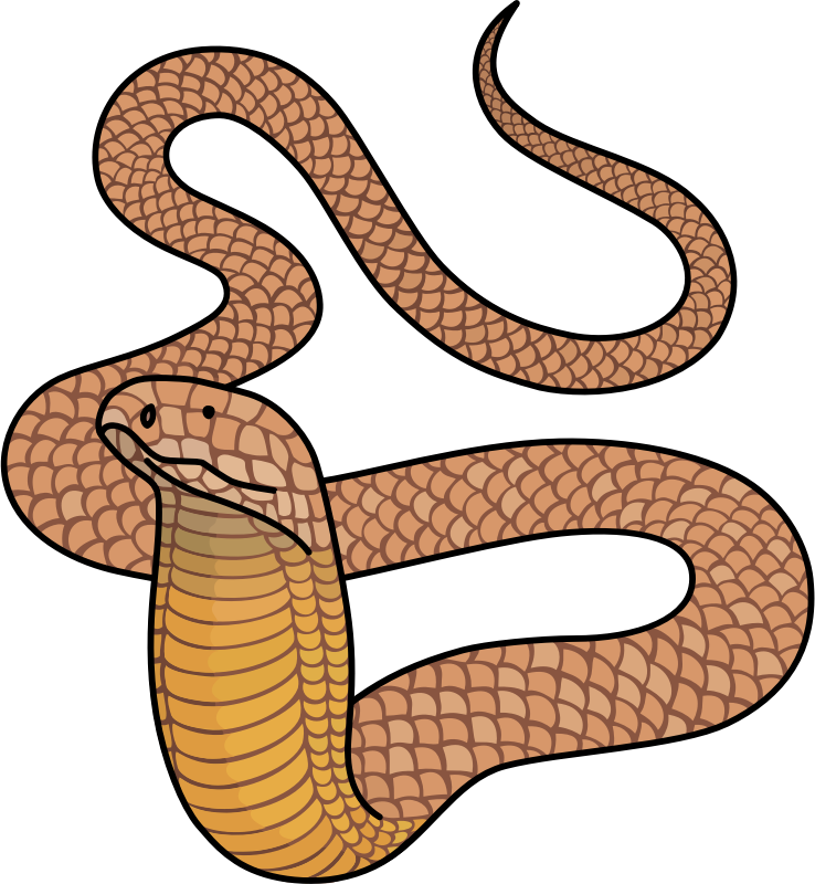 King Cobra