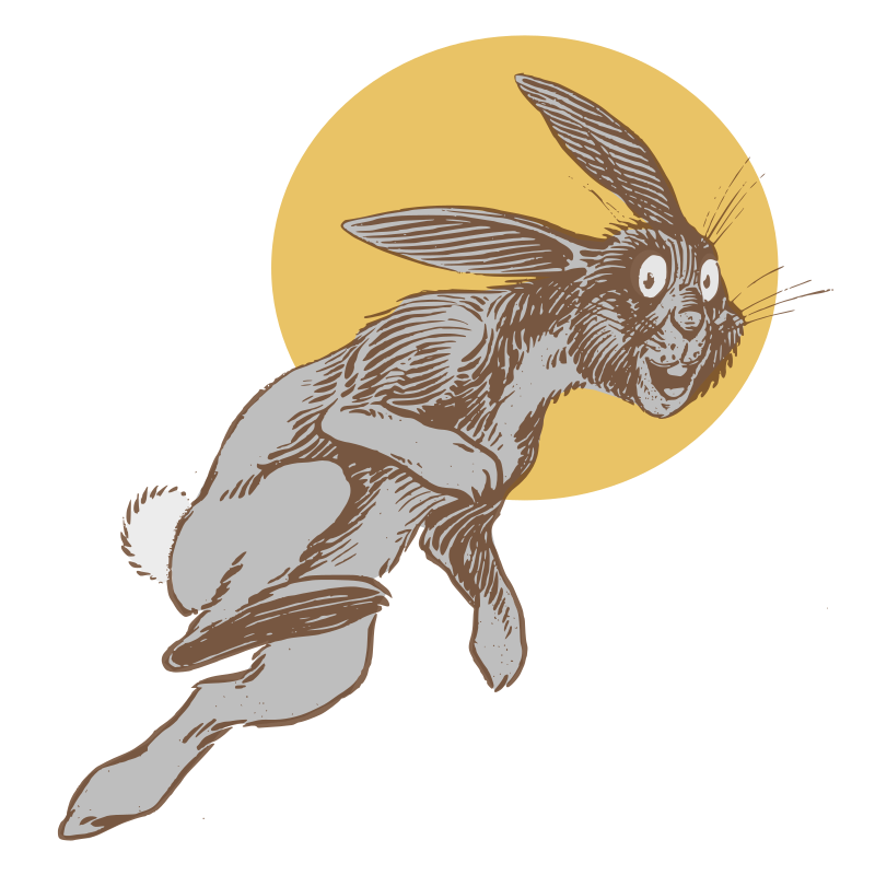 Rabbit Jumping