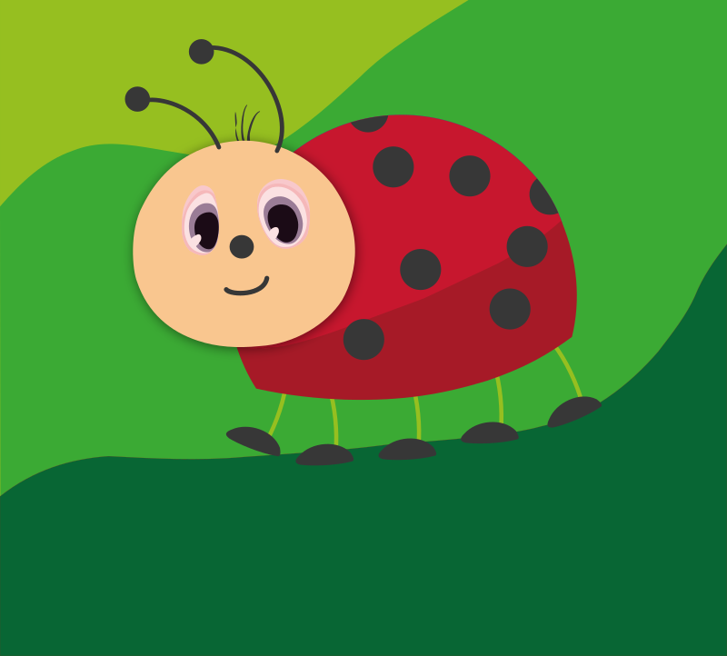 Ladybug