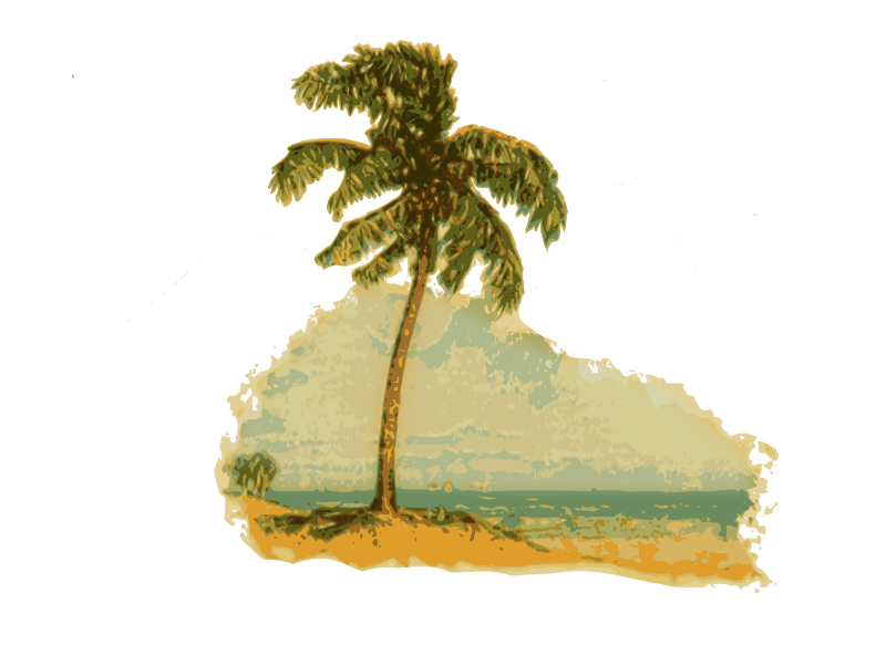 Tropical Palm Tree Beach