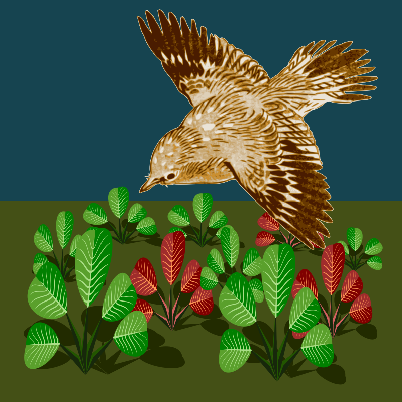 BirdLeaves