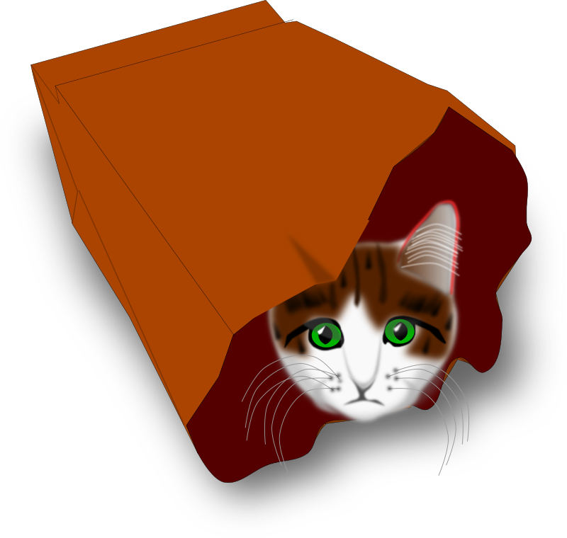 Cat in please donate to animals box cartoon vector illustration