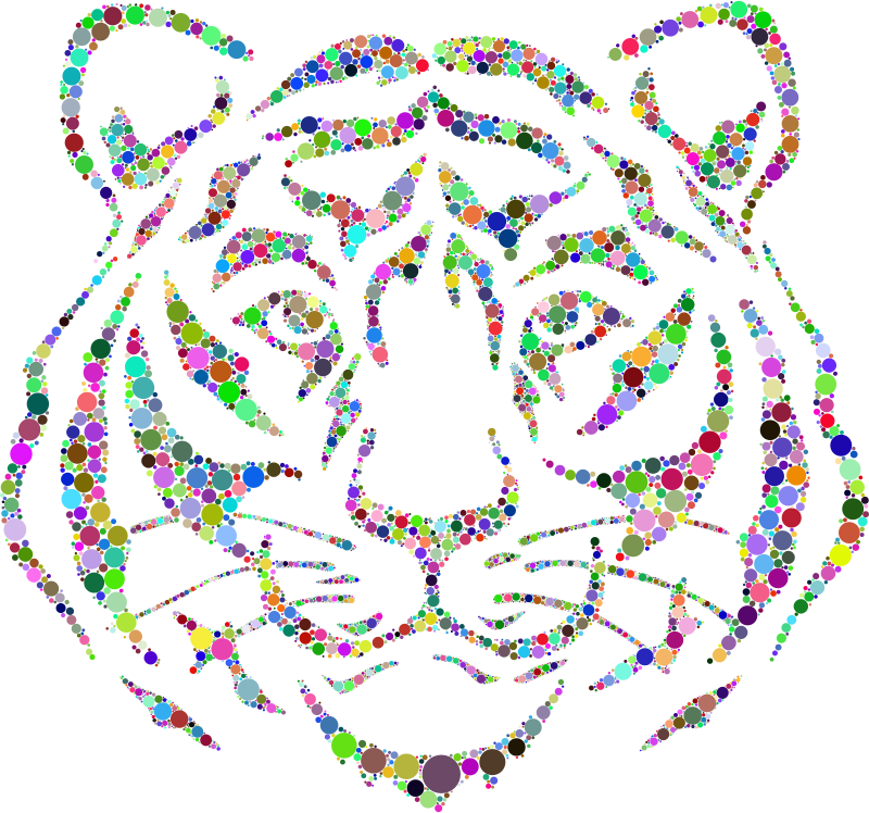 Year Of The Tiger Circles Colorful