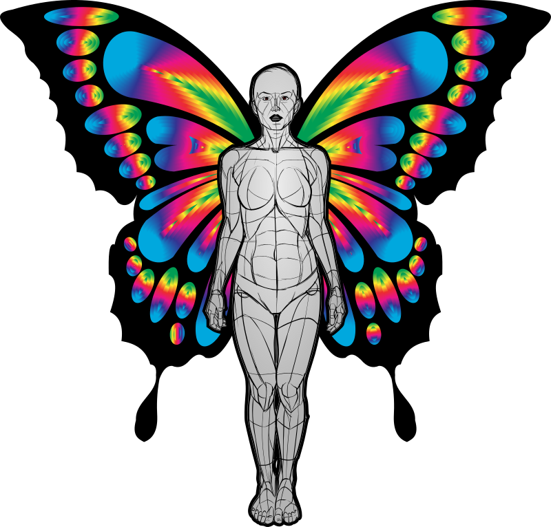Female Android with Wings