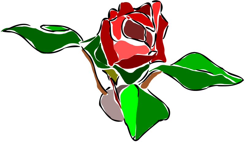 Rose1