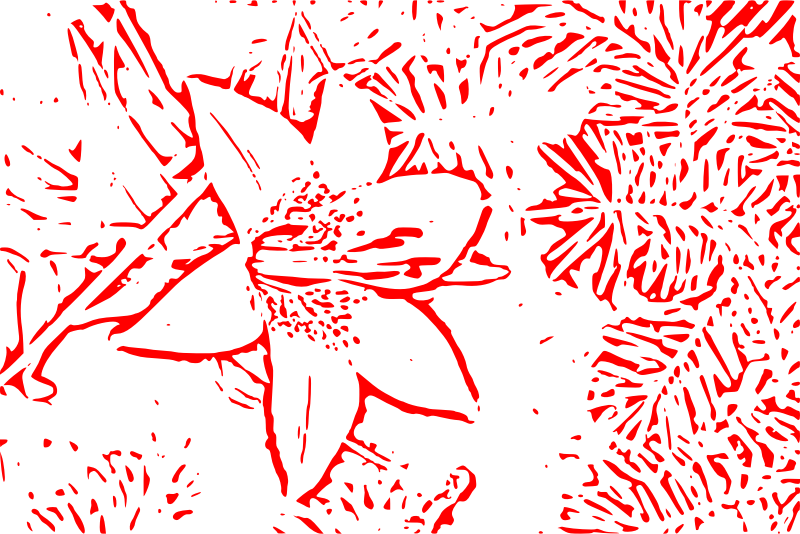 Abstract Red Flower