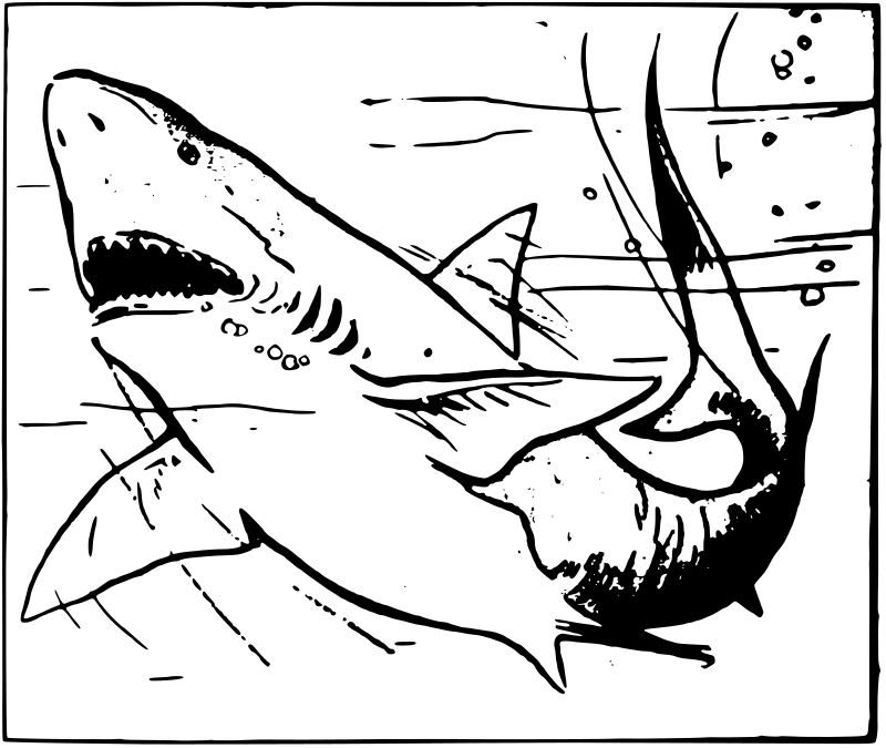 Cartoon Shark (Black & White)