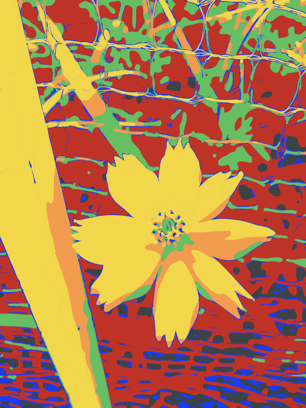 Yellow Flower