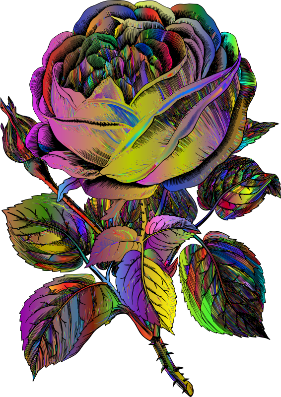 Vintage Rose Line Art Polyprismatic