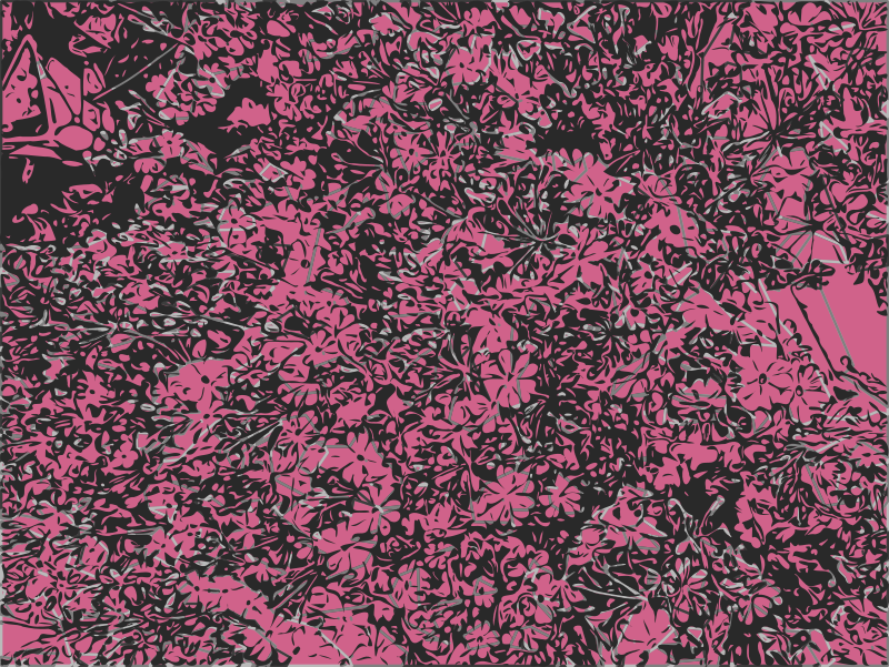 Abstract Pink Flowers