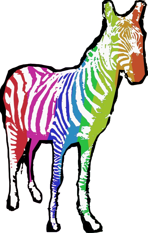 Rainbow Zebra