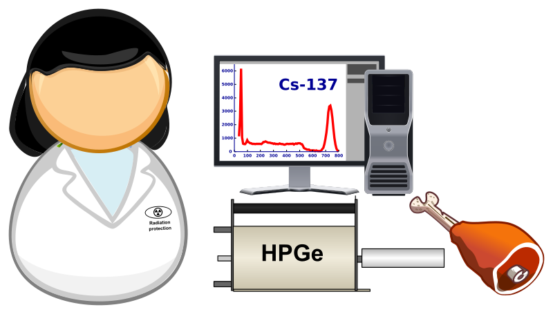 Laboratory spectrometry - determination of radionuclides in food - here for example boar meat