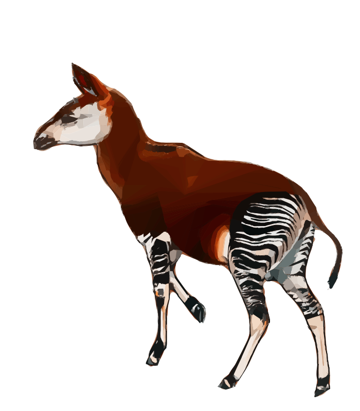 Okapi