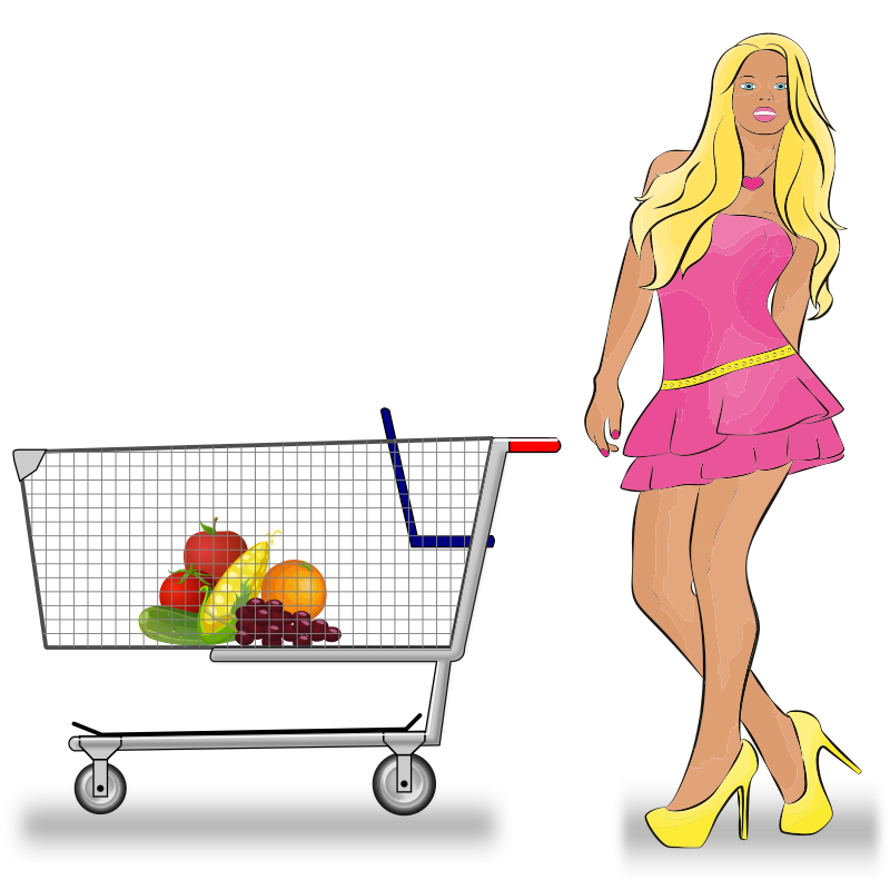 Shopping Cart Lady