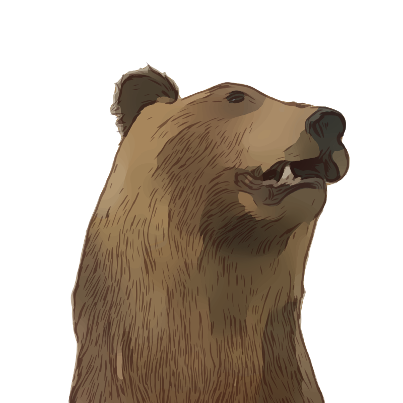 Bear Head