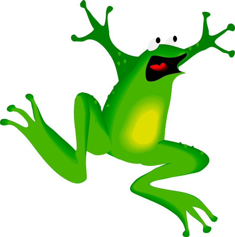 Architetto rana 01 Frog