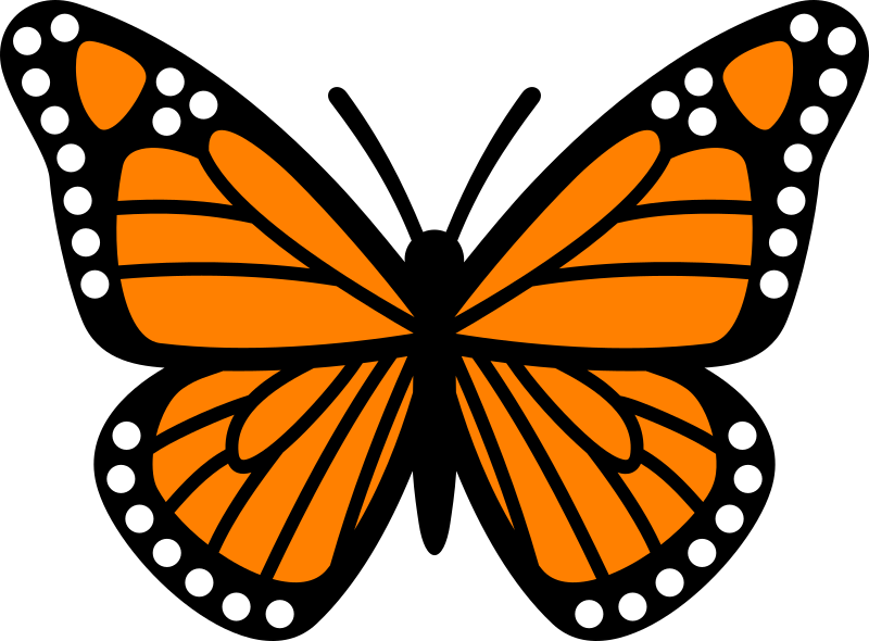 monarch butterfly clipart