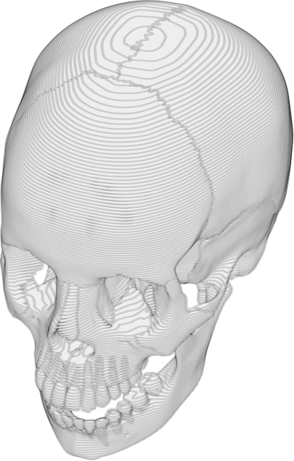 Animated spinning skull