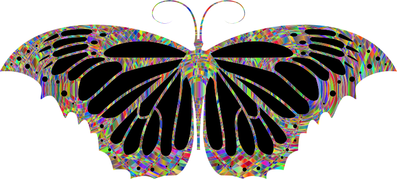 Psychedelic Butterfly Wild