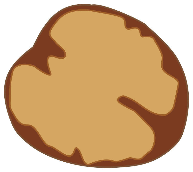 Walnut kernel