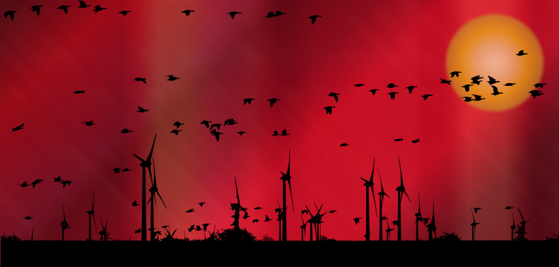 Geese And Wind Turbines Silhouette Surreal