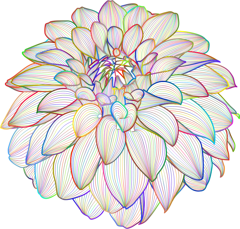 Polyprismatic Dahlia 2 No Silhouette