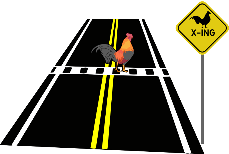 Why Did the Chicken Cross the Road?