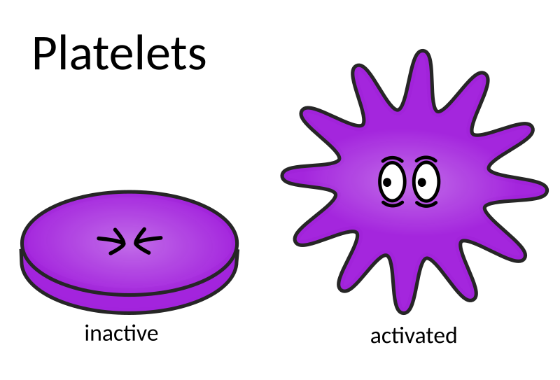 Platelets