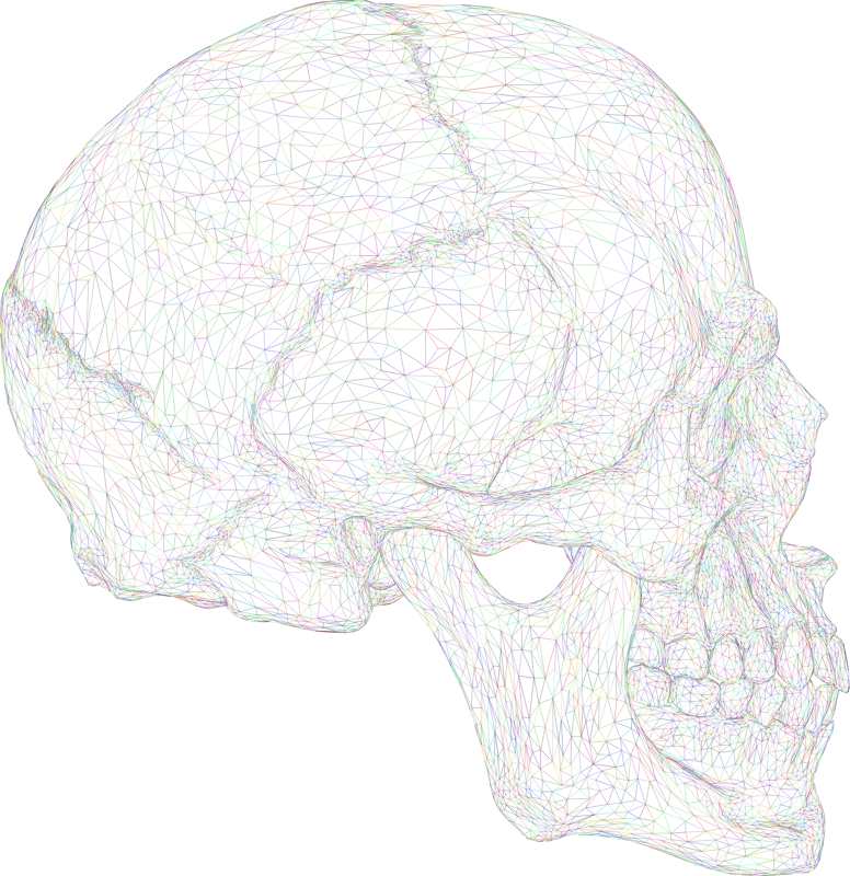 3D Skull Face Profile Wireframe Colorful