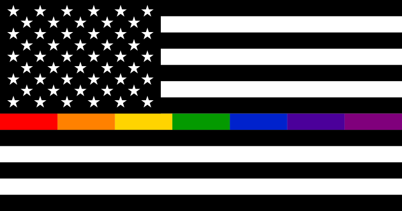 Thin Rainbow Line Flag