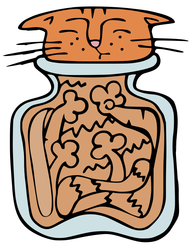 Cat in Jar - Colour Remix