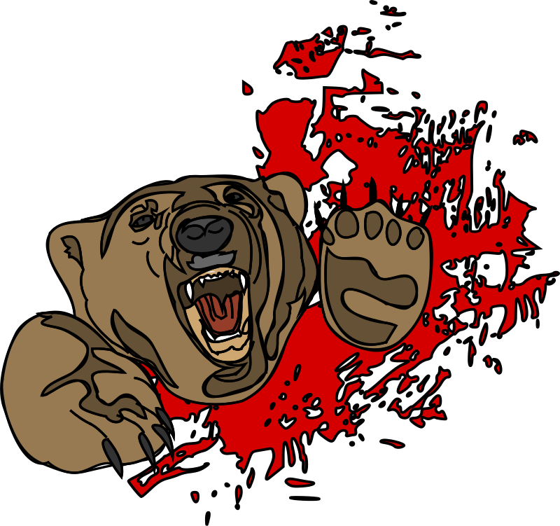 Bear Attack