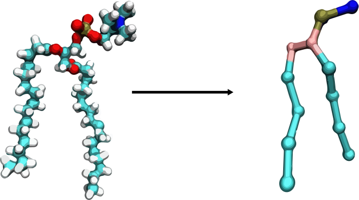 All-atom and coarse-grained models molecular representation of molecules