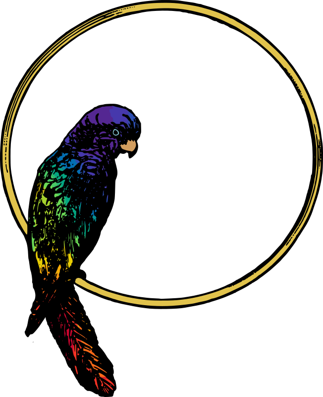 Parrot Frame Colour Remix Openclipart 