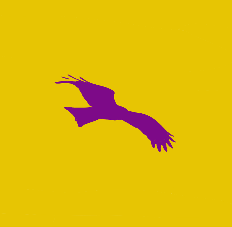 Bird Flag